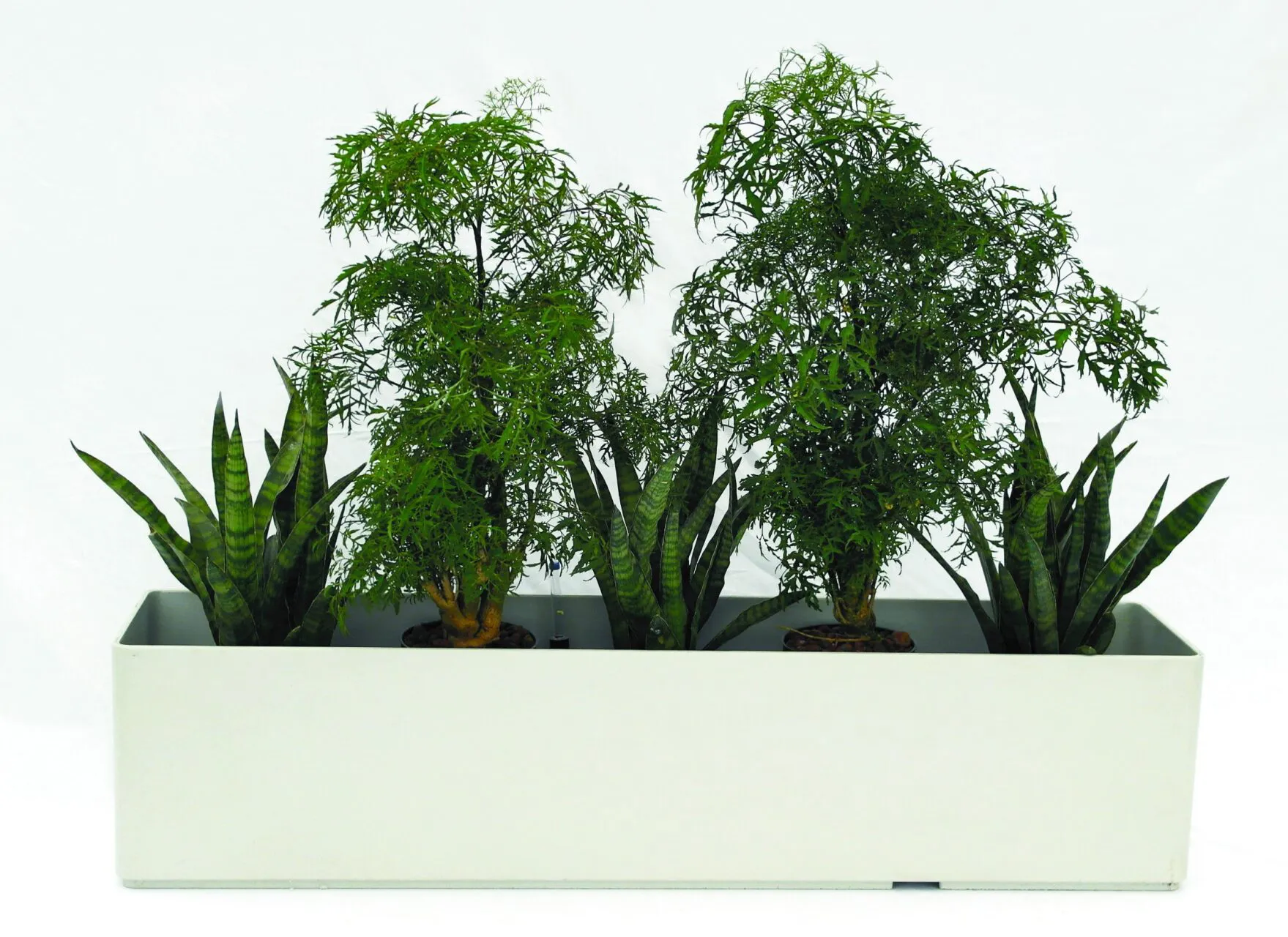 BASIC 80 cm + 100 cm Gefe mit Hydro Profi Line fr Hydrokulturen - Hydro  Profi Line