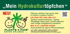 Hydrokulturtöpfchen