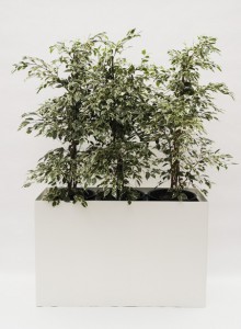 Prestige RE 120 cm x 40 cm inklusive Topf in Topf und Hydro Profi Line Pflanzsystem für Hydrokulturen