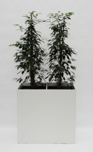 Prestige RE 80 cm x 40 cm inklusive Topf in Topf und Hydro Profi Line Pflanzsystem für Hydrokulturen