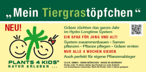 Hydrokulturtöpfchen