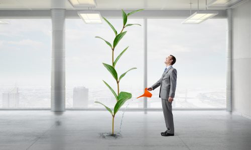 Make your income grow Make your income grow