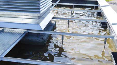 Hydro Profi Line Rastersystemmontage in Pflanzbecken aus Bitumen auf Dächern