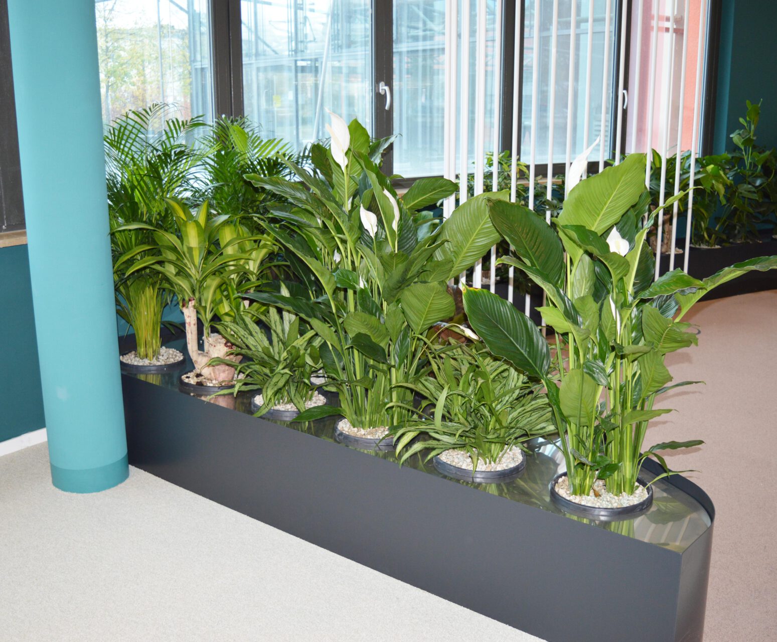Becken mit Rastersystem bepflanzt innen 10
