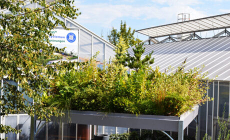 01_Begrünungpavillon