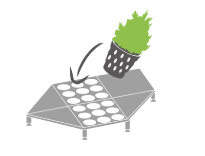 Icon Leichtes Bepflanzen