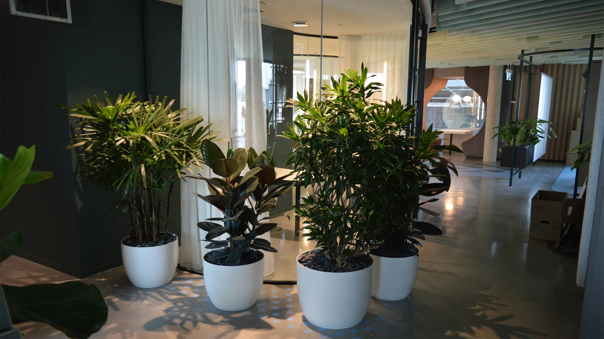 Yeria Hängepflanzentopf Mit Gesicht – Süßer Swing Face Planter Für Sukkulenten & Zimmerpflanzen