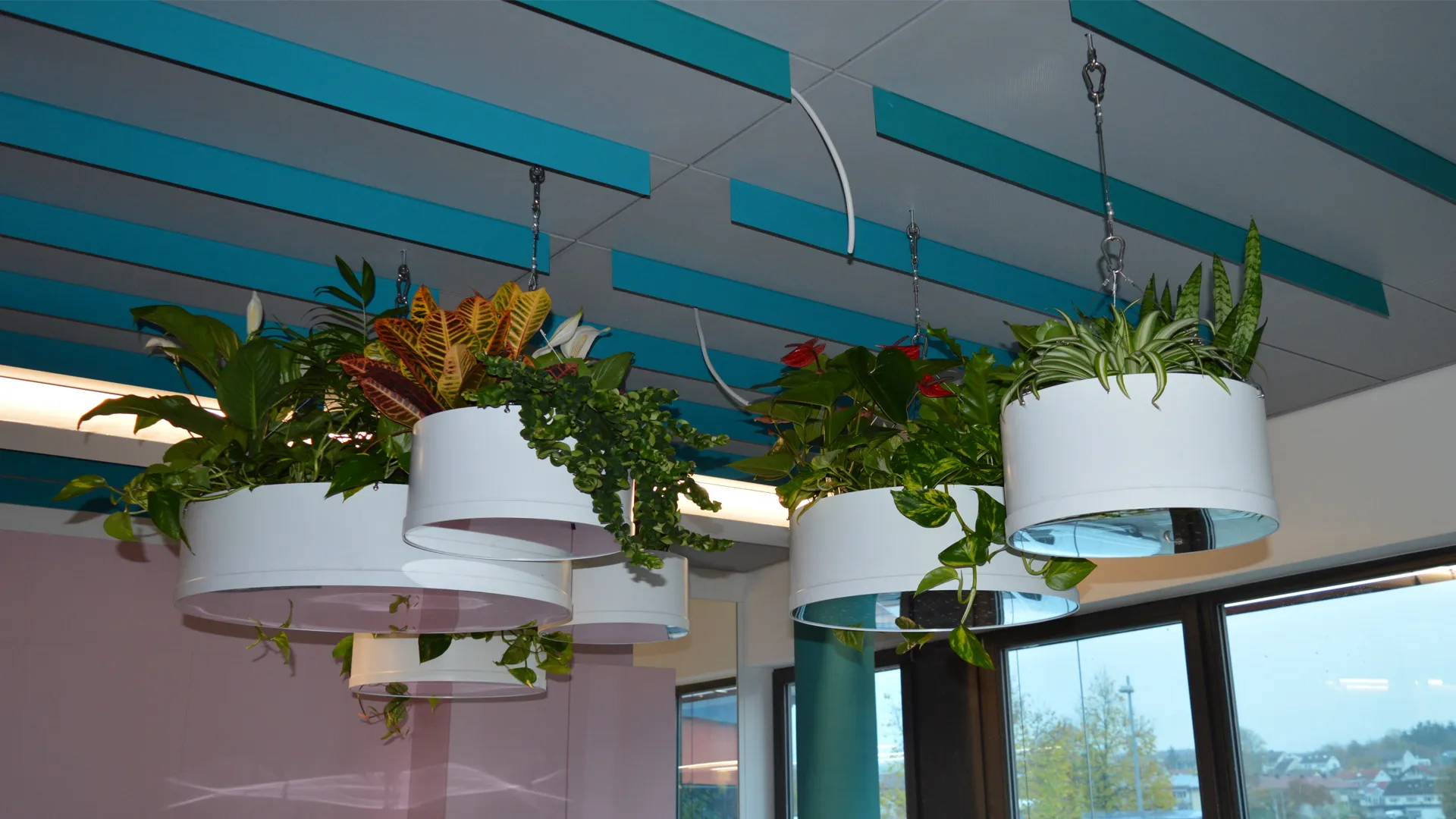 Pflanzgefe fr Zimmerpflanzen mit Hydro Profi Line System