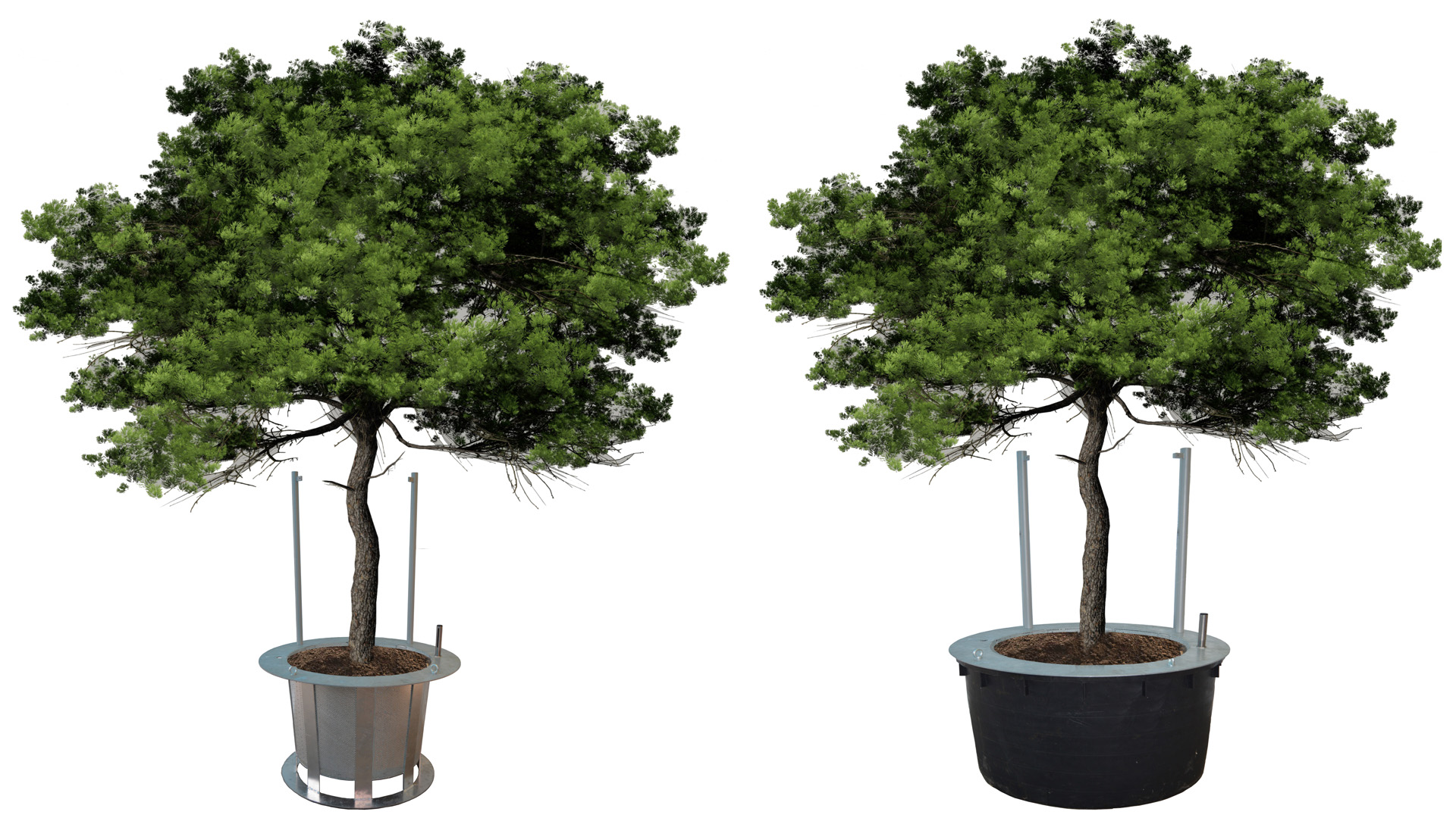 Hydro Profi Line® Grosspflanzenkulturtöpfe für Bäume und Hydro Profi Line® Pflanzkörbe für intensive Begrünungen und Wechselbepflanzungen