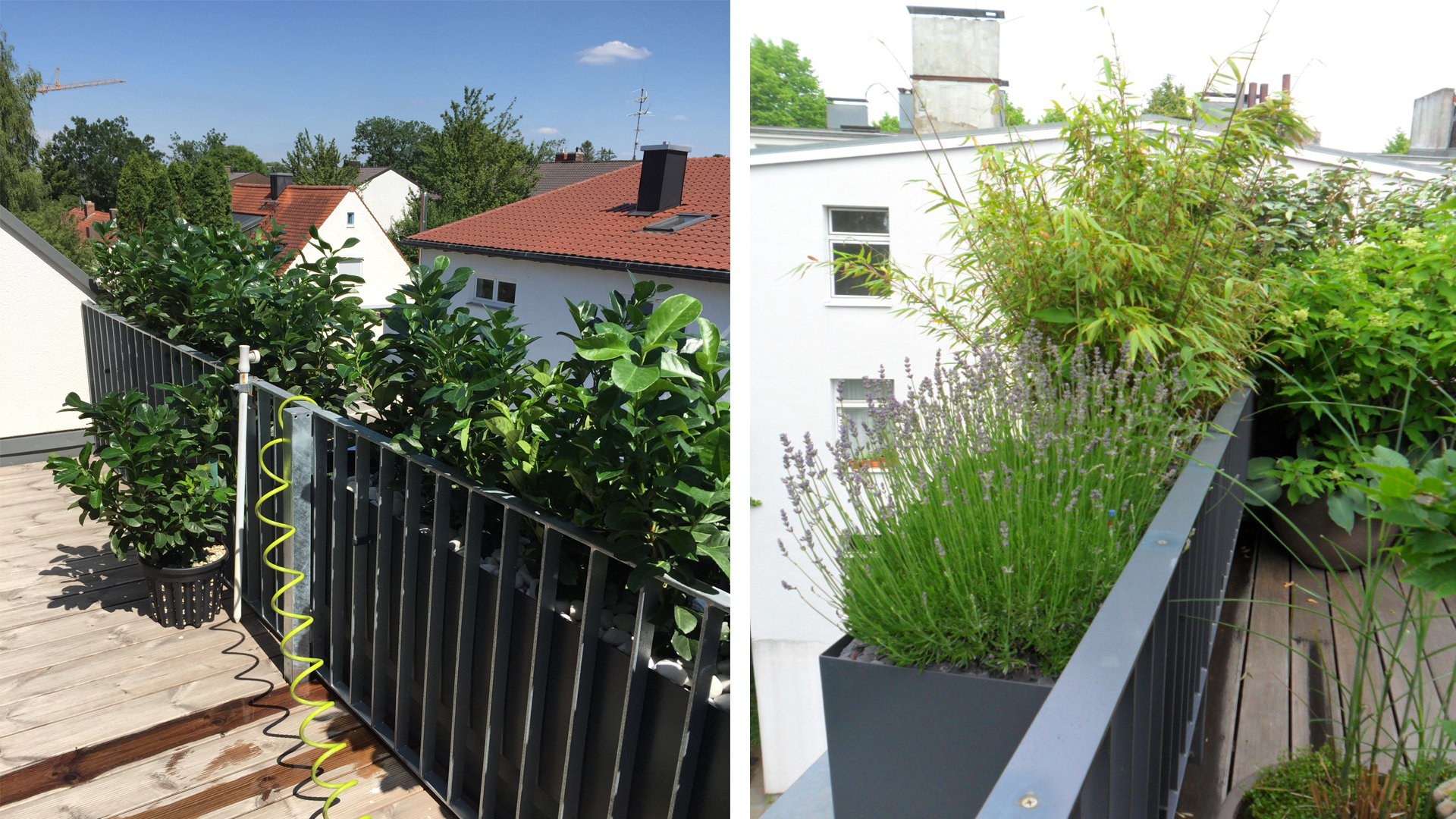 Prestige Terrassenbegrünung 2