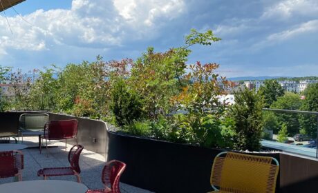 Pflanzbecken Terrasse Hassia 2 Frühjahr 2022
