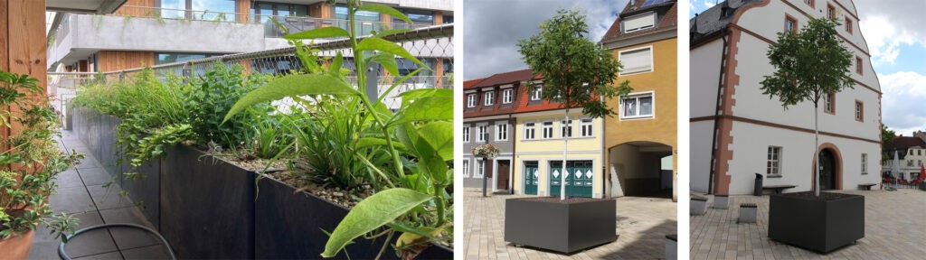 Stadtbegrünung mit Bäumen