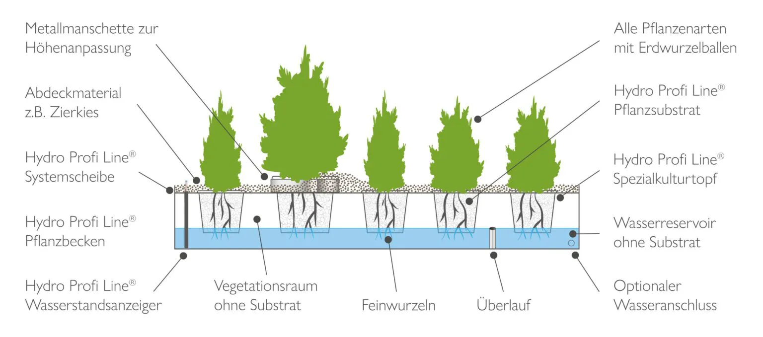 Hydro Profi Line Systemaufbau – substratfreie Wurzelvegetationskammer mit Ringbewässerung