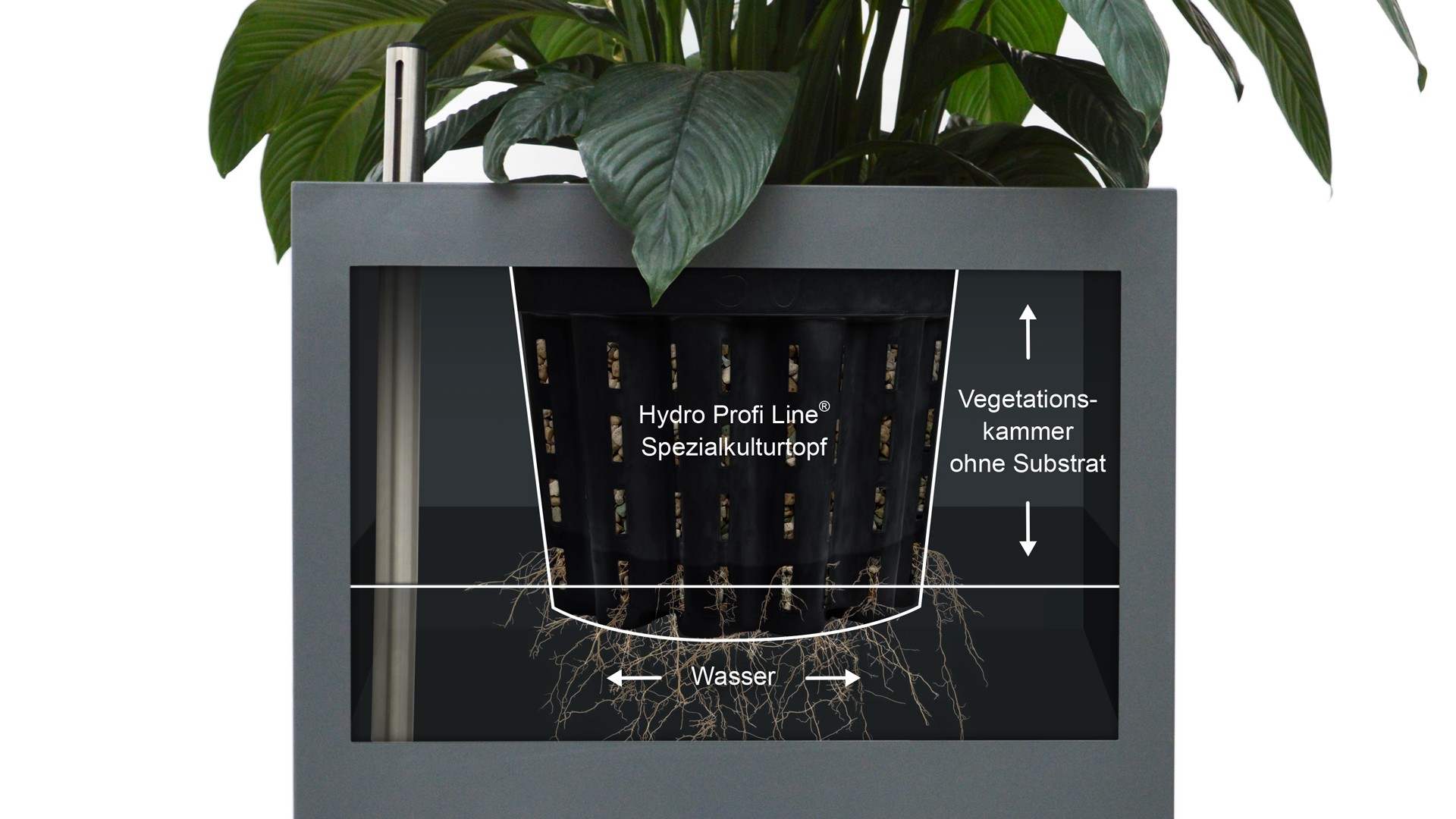 Hydro Profi Line® Systemaufbau Gefäß