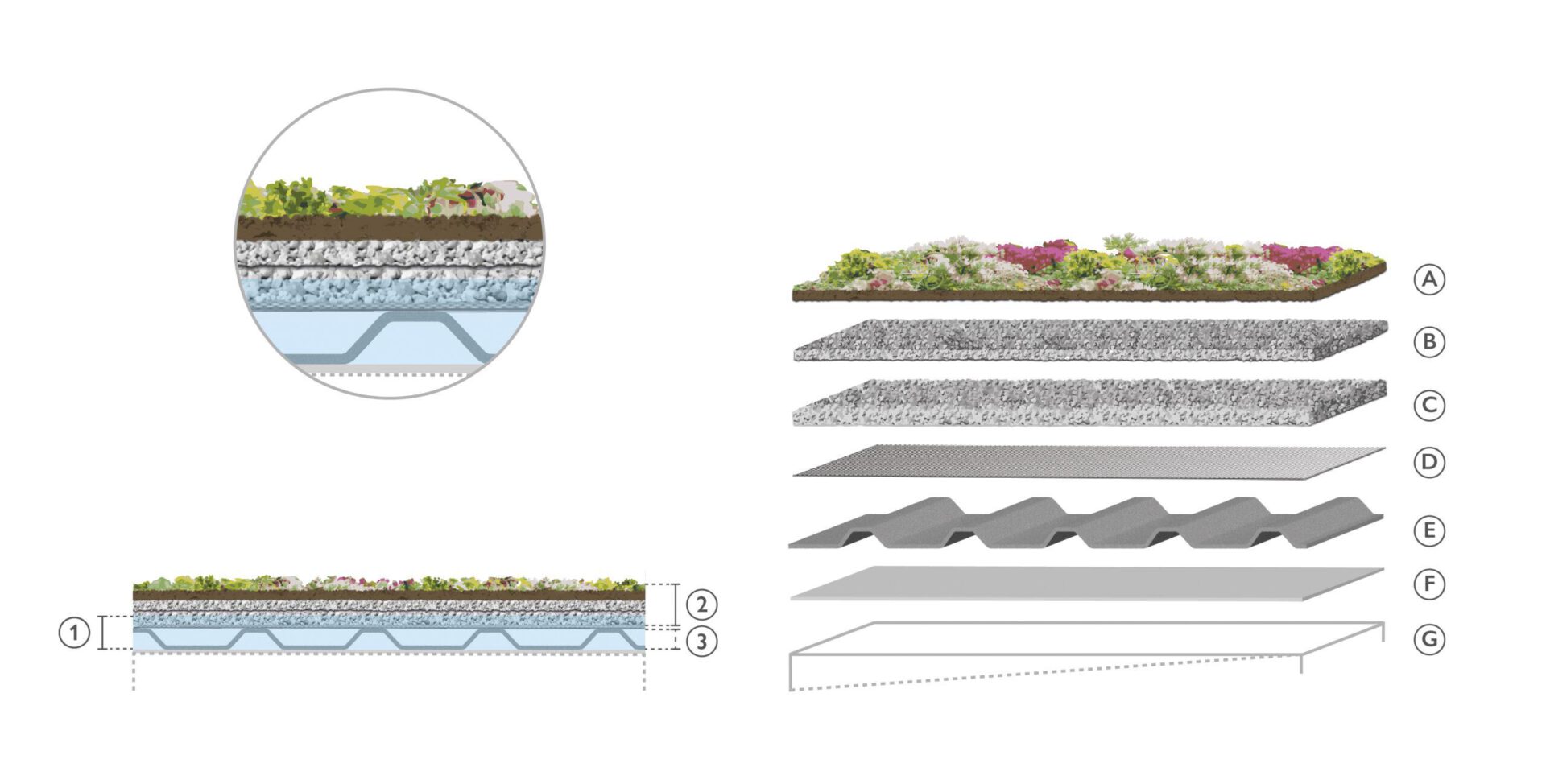 Extensive Dachbegrünung mit Begrünungsmatten Hydro Profi Line Systemaufbau für Flachdach mit Wasserspeicher