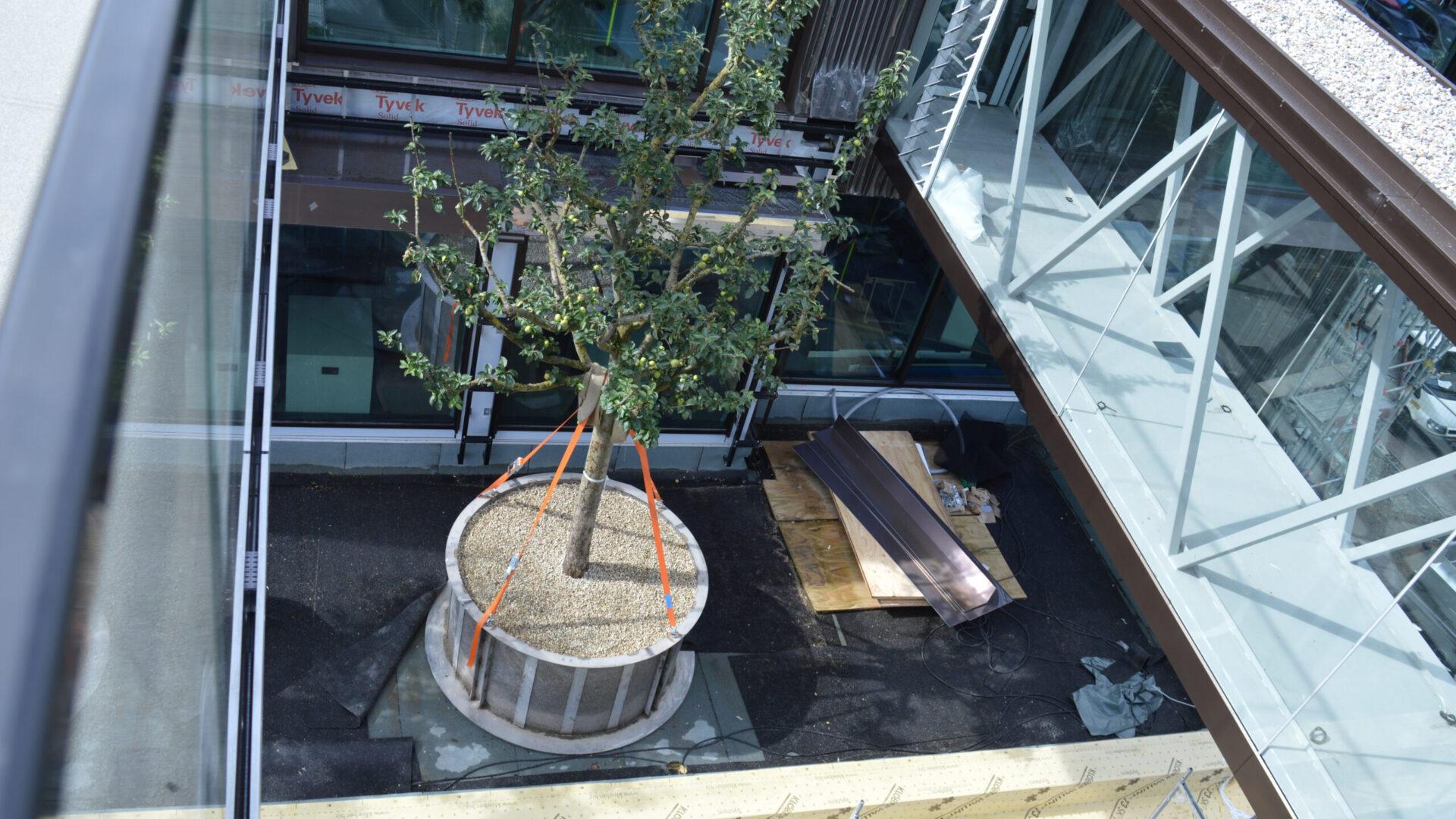 Hydro Profi Line® Großpflanzenkulturtopf platziert auf Dachfläche