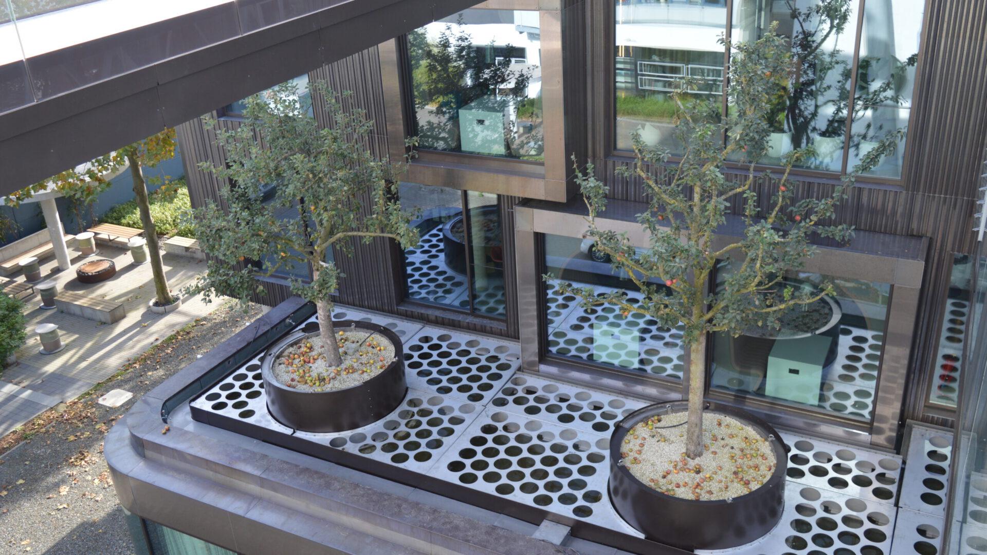 Hydro Profi Line® Großpflanzensystem auf Dachfläche