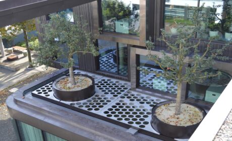 Modulsystem und Flächenbegrünungsmodule und Schwerlastkorb mit Vegetationsmantel Apfelbaum